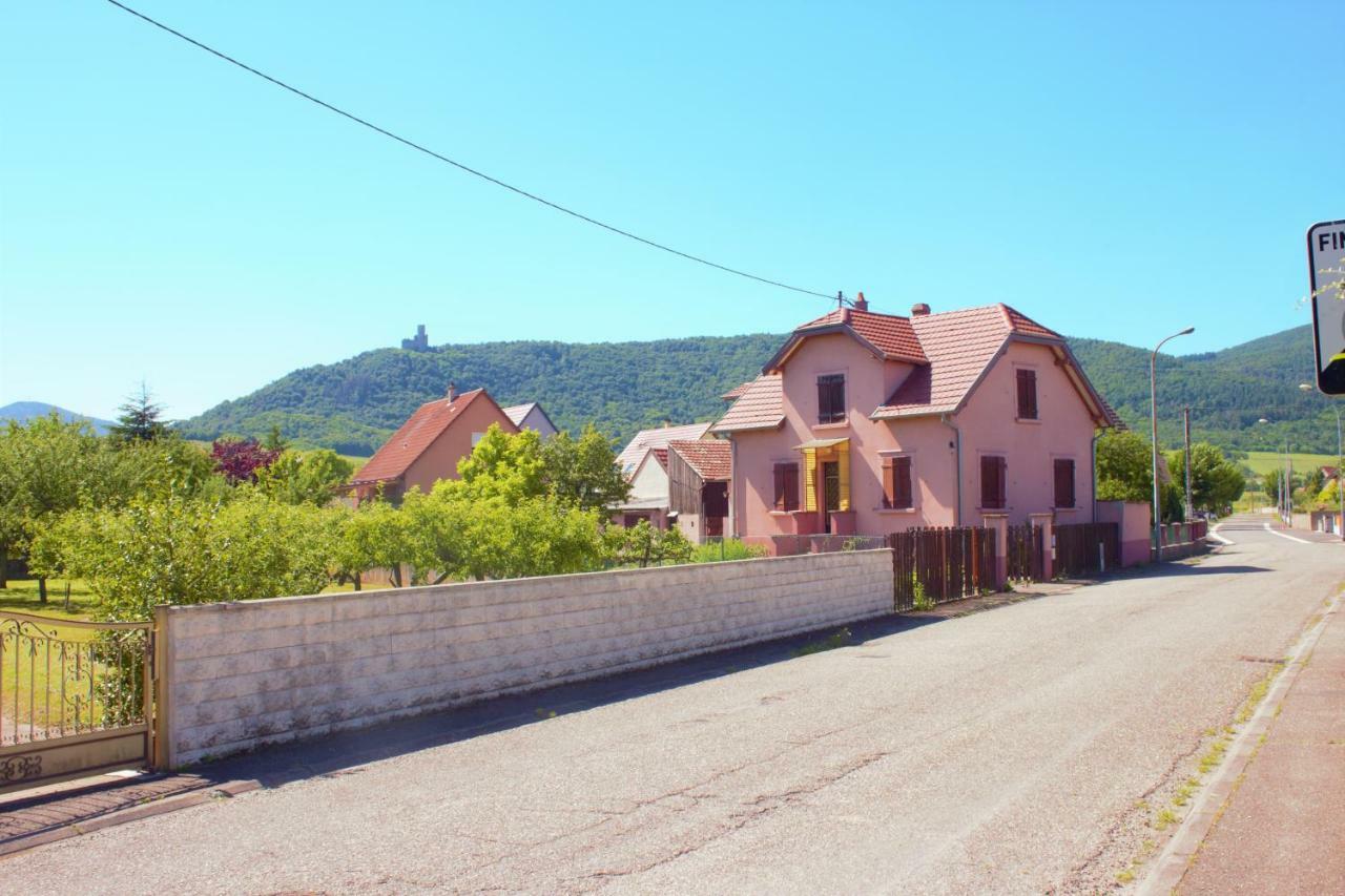 La Halte Des Vignes - Route Des Vins D'Alsace Apartment Scherwiller Ngoại thất bức ảnh