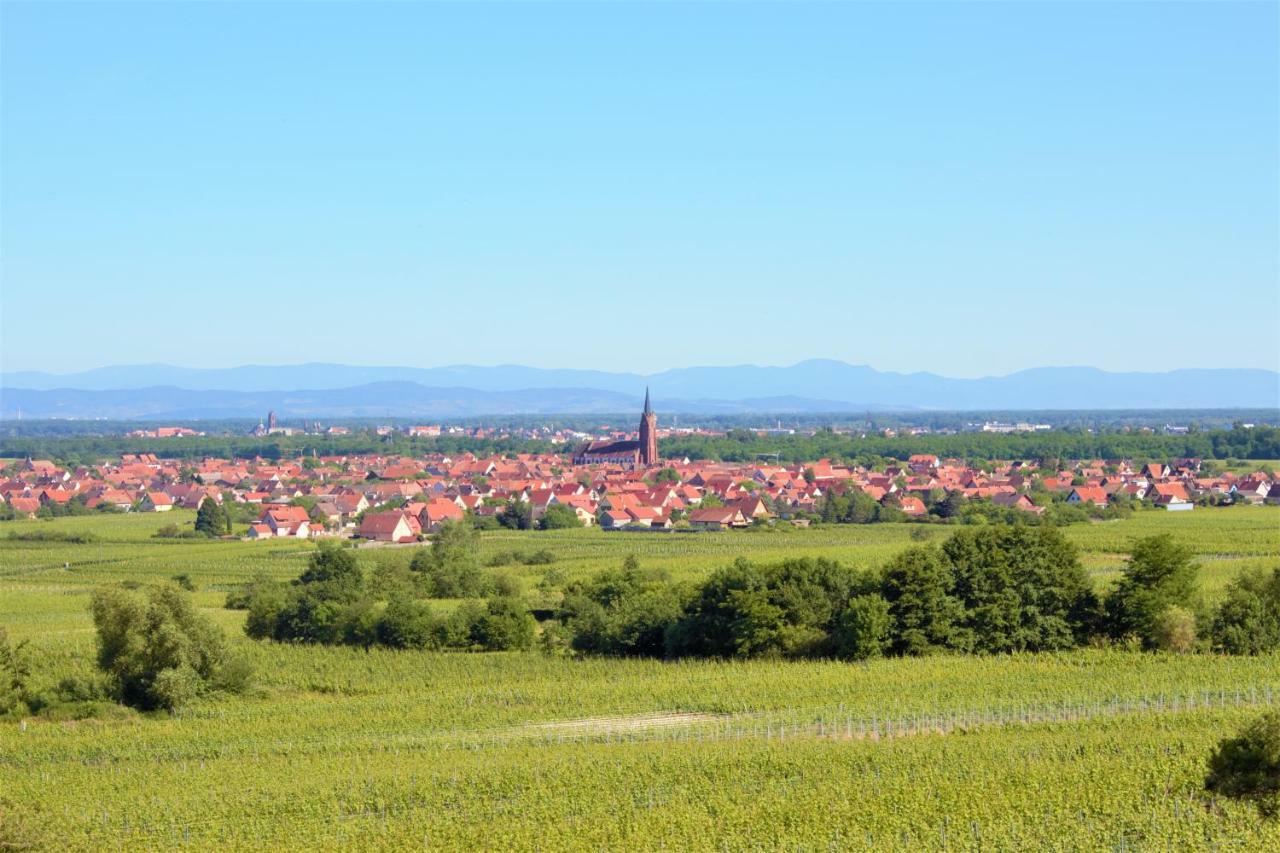 La Halte Des Vignes - Route Des Vins D'Alsace Apartment Scherwiller Ngoại thất bức ảnh